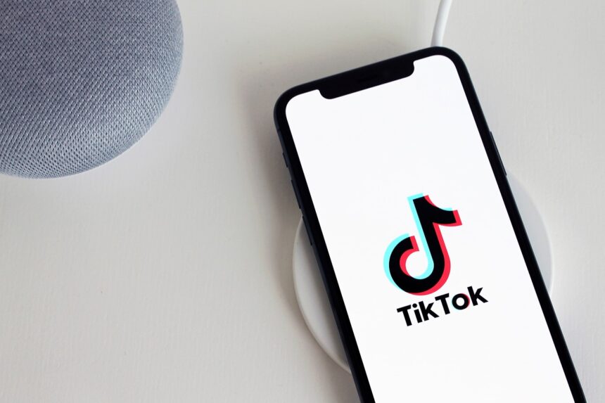 Beitragsbild zu: TikTok-Verbot in Kärnten: Debatte nach Villach-Vorfall entbrannt